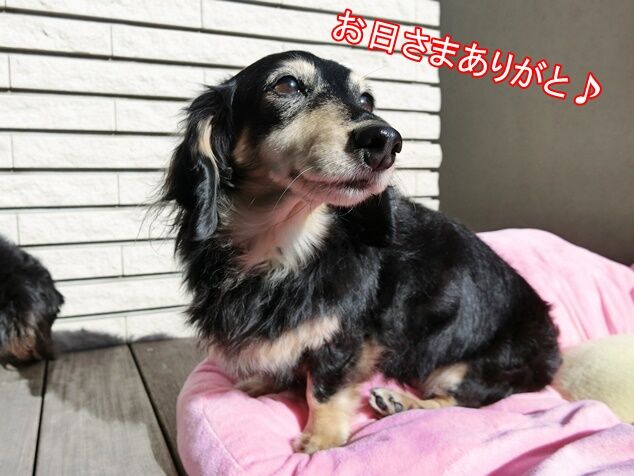 CIMG9682
