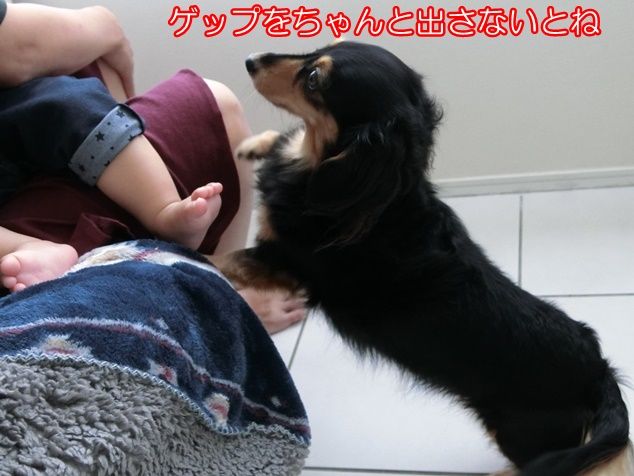 CIMG2492