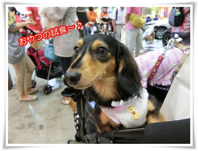 a_201407270748186fd.jpg