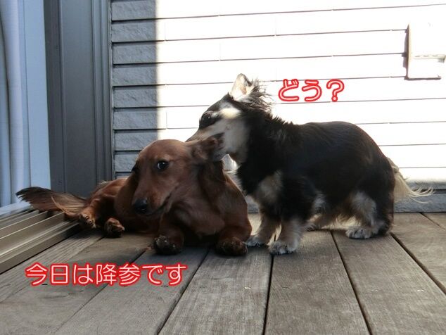 CIMG0306