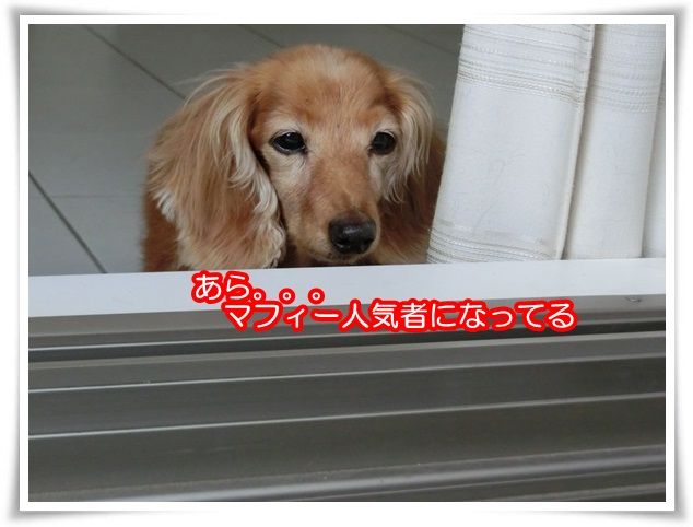 5-20151024.jpg