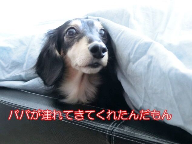 CIMG1597