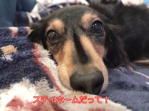 S__36634677