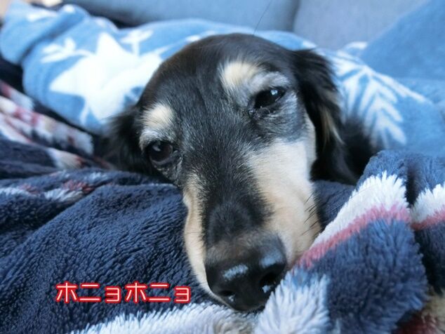 CIMG0972