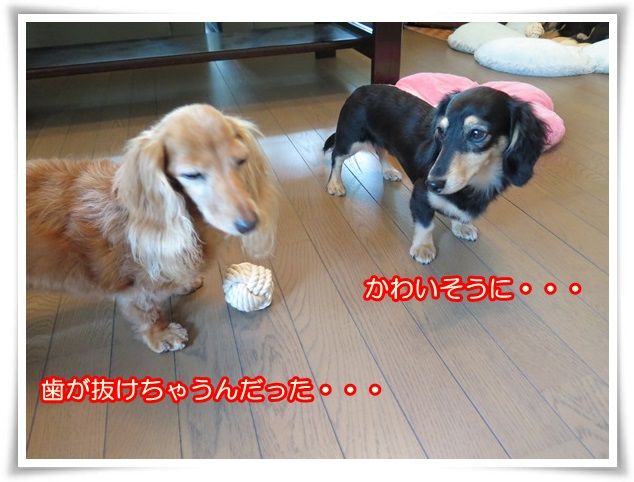 6-20160730.jpg