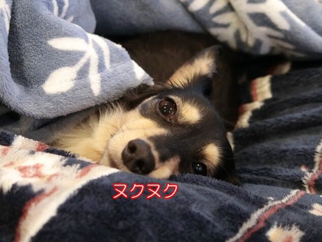 CIMG9693