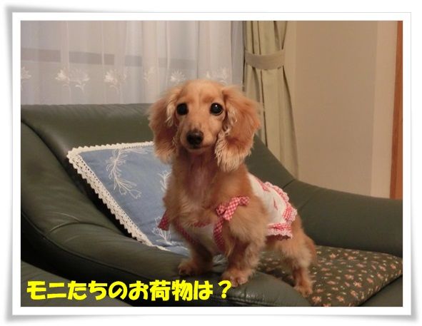 8_20130613083737.jpg