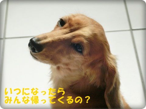 CIMG1544.jpg