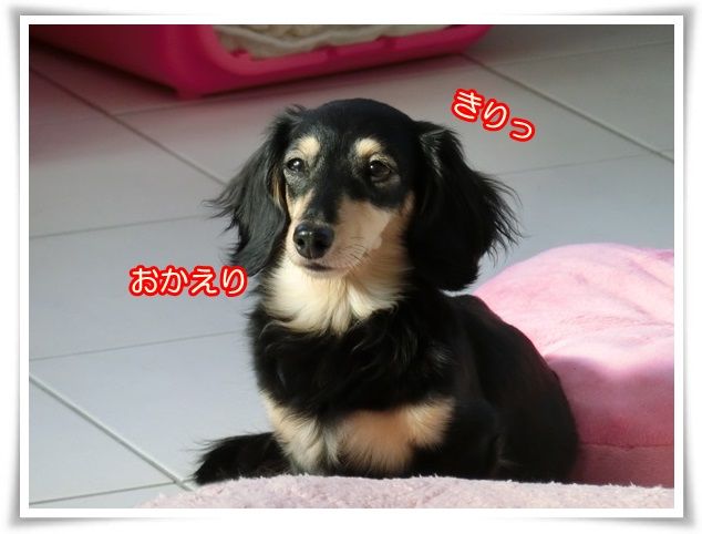 15-20160228.jpg