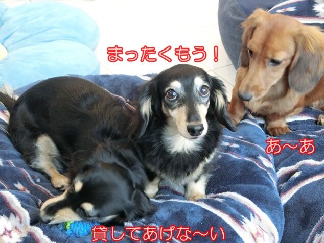 CIMG8239