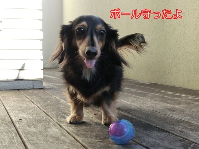 CIMG0313