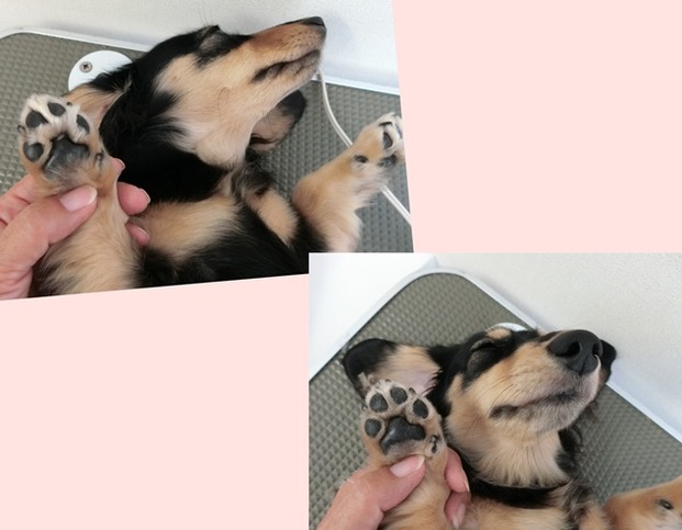 o
