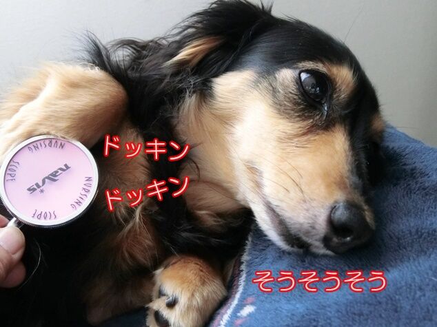 CIMG0528