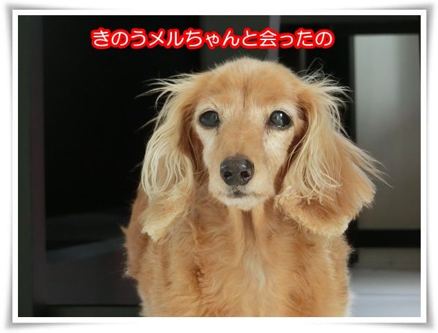 7-20150815.jpg