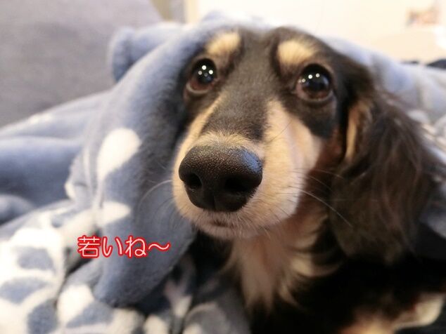 CIMG9686