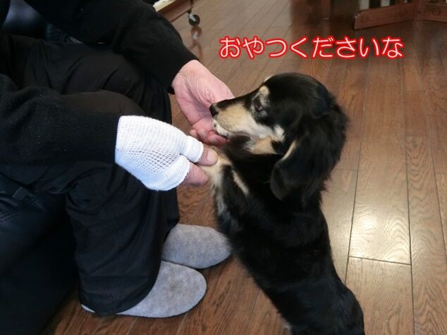 CIMG0805
