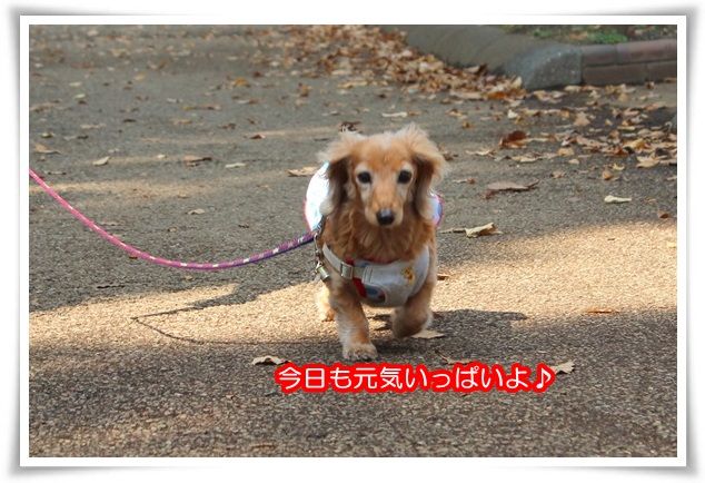 4_20151013184009dbc.jpg