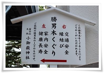 IMG_8510-20130710.jpg