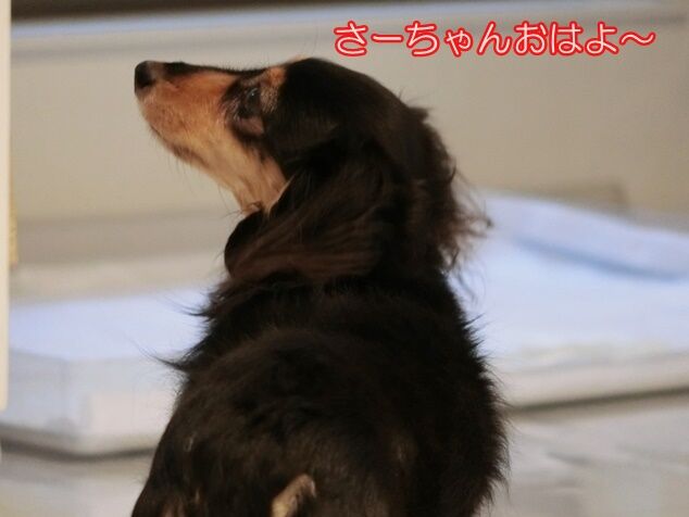 CIMG9739