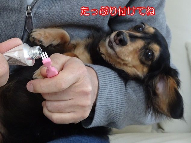 DSC01413