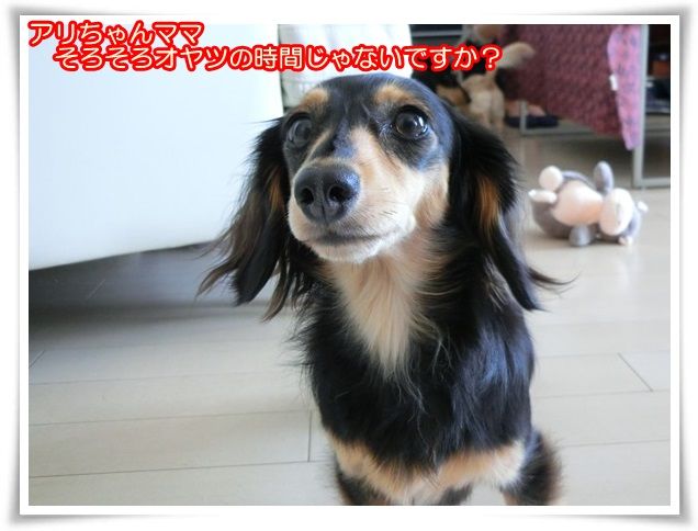 11_20140929095247417.jpg