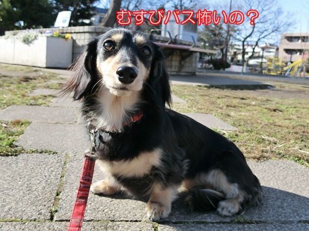 CIMG0288