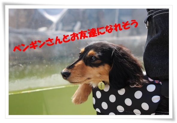 10-20130607.jpg