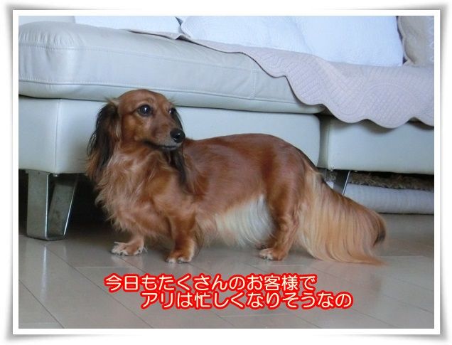 1_201409290951328f1.jpg