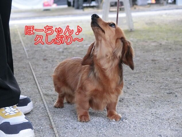 CIMG0775