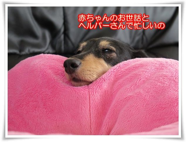 12-20160330.jpg