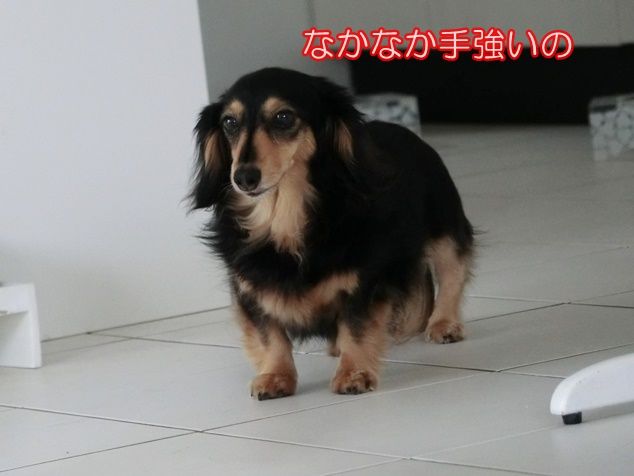 CIMG8078