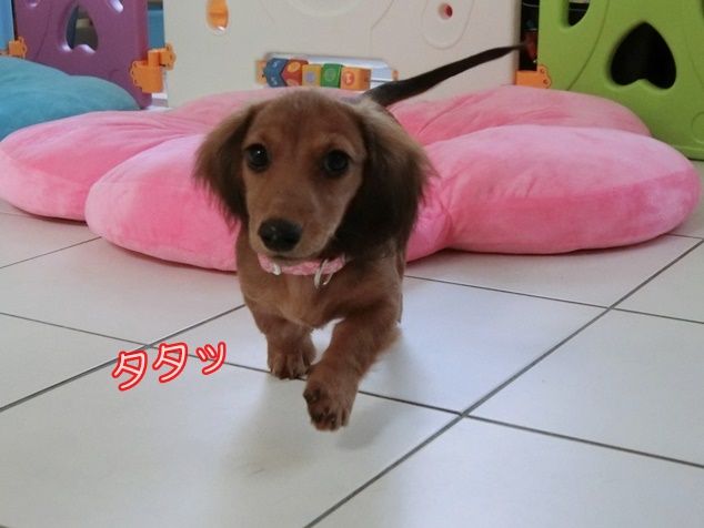 CIMG0884
