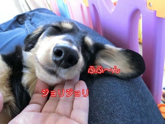 CIMG4993