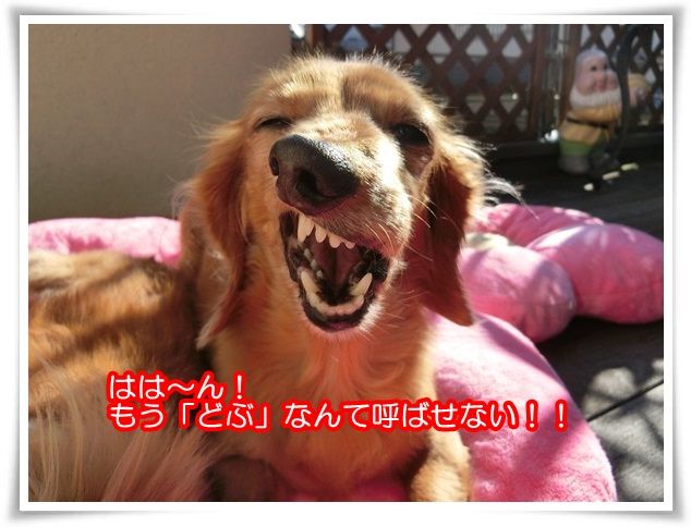 11-20151019.jpg