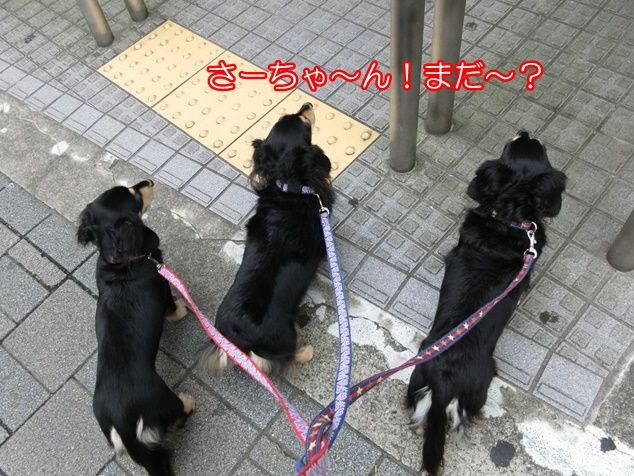 CIMG0015