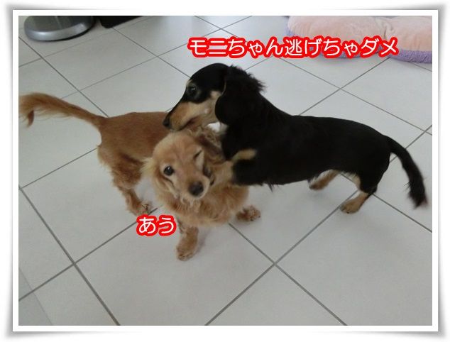 2_201502091948285b7.jpg