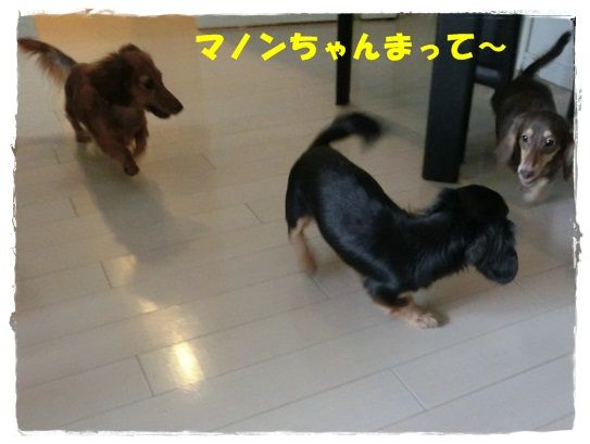 CIMG7189-20121202.jpg