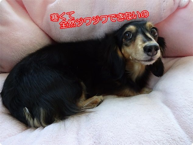 DSC04735