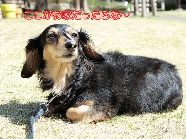 CIMG7088