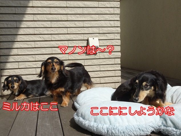 DSC08707