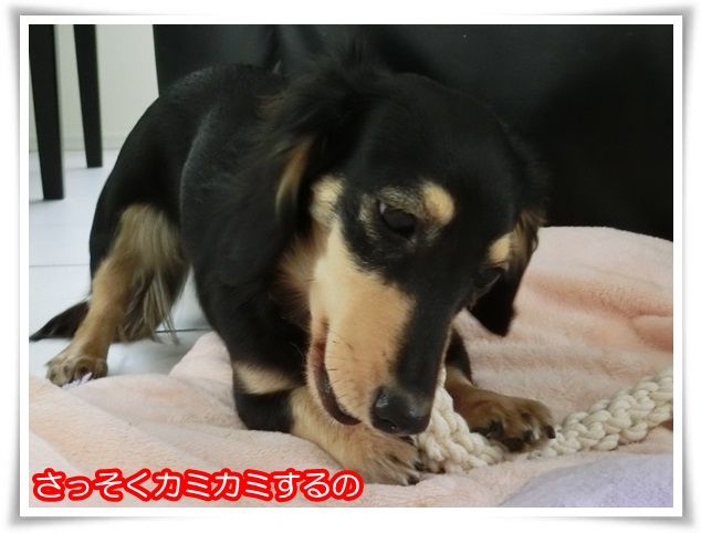 9-20150130.jpg
