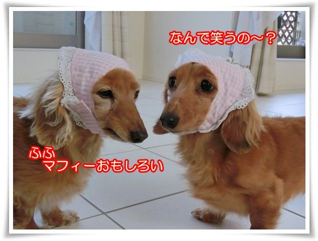 7_20141231055708d3b.jpg