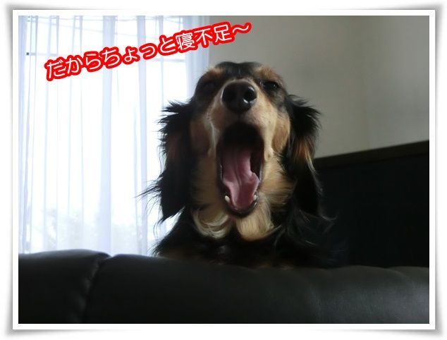 11-20150815.jpg