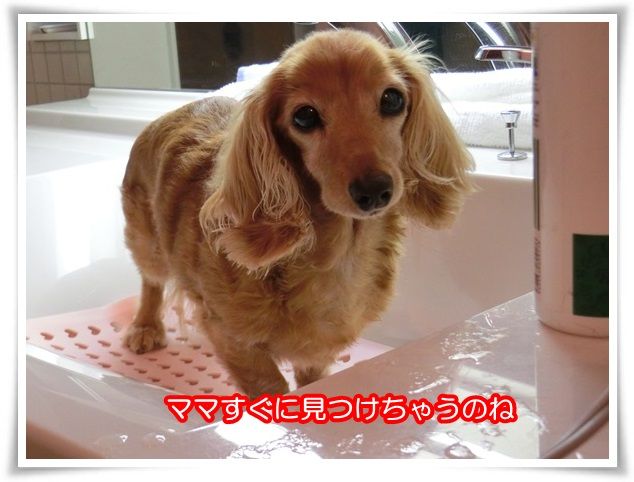 16_2015081720181234e.jpg