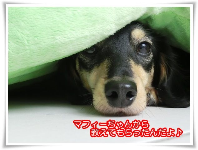 3-20151126.jpg