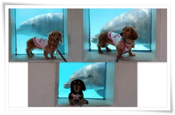 12-20130607.jpg