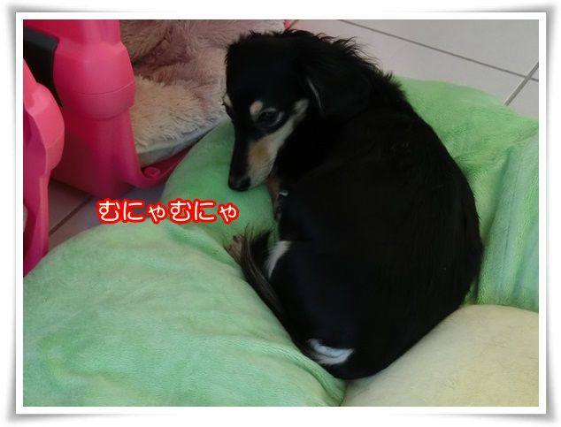2-20160228.jpg