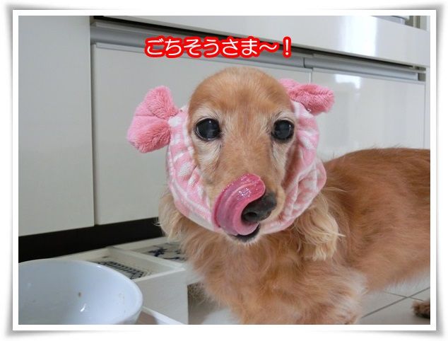 16_2015062922030933d.jpg