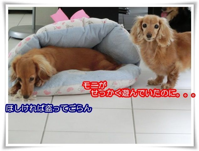16-20150130.jpg