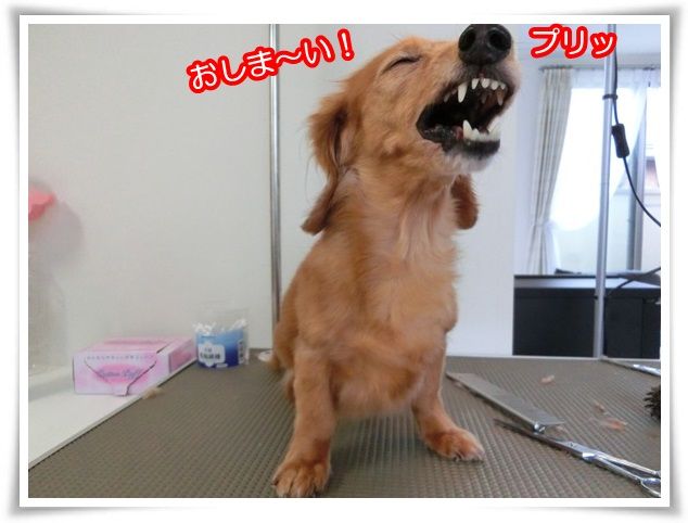 9_201509281850284c6.jpg